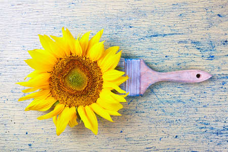 Fresh yellow sunflower close up. Nature backgroundの写真素材