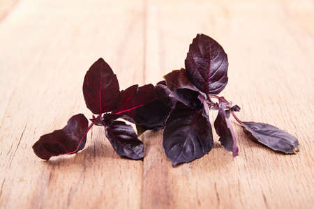 Violet basil close up on wood desk. Food ingredientsの写真素材