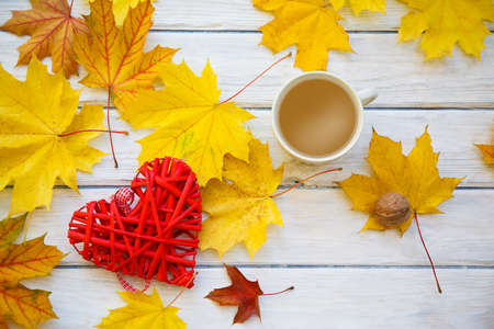 Coffee cup with autumn leaves. Nature backgroundの写真素材
