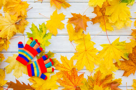 Glove on wood desk. Nature autumn backgroundの写真素材