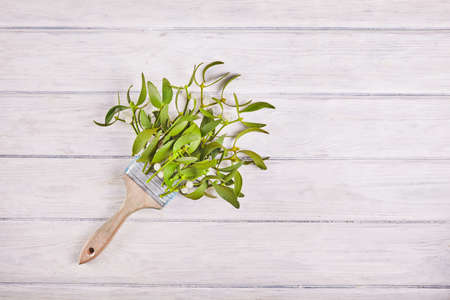 Broom from green mistletoe on wood desk. Nature background. Christmas plantの写真素材