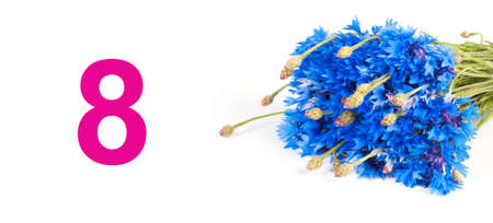 Bouquet with blue flowers isolated on white. Nature objectsの写真素材