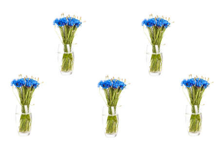 Bouquet with blue flowers isolated on white. Nature objectsの写真素材