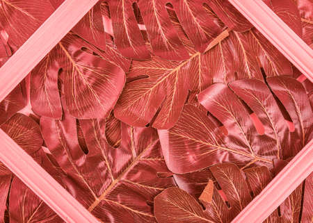 Creative layout made of tropical leaves with vintage frame. Flat lay. Nature conceptの写真素材