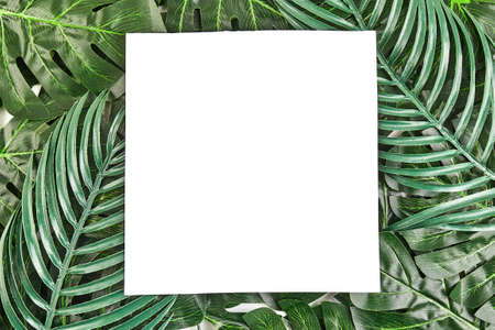 Creative layout made of tropical leaves with vintage frame. Flat lay. Nature concept