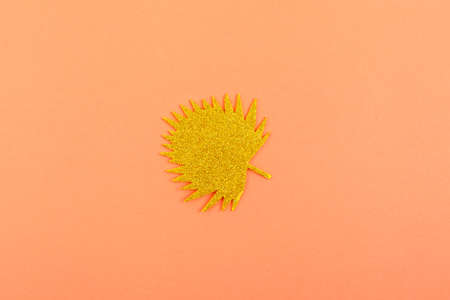 Color palm leaves on coral background. Creative layoutの写真素材