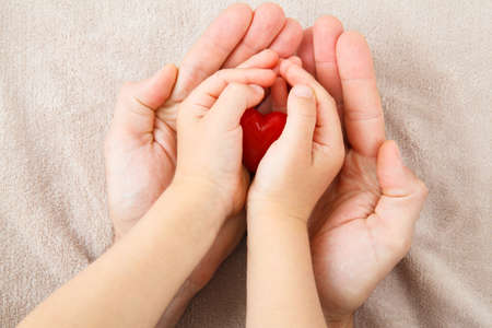 adult and child hands holding red heart, health care, donate and family insurance concept,world heart day, world health day, CSR conceptの写真素材