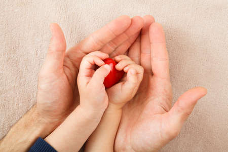 adult and child hands holding red heart, health care, donate and family insurance concept,world heart day, world health day, CSR conceptの写真素材