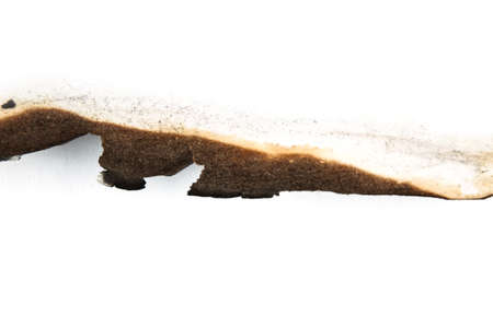 isolated scorched paper on a white backgroundの写真素材