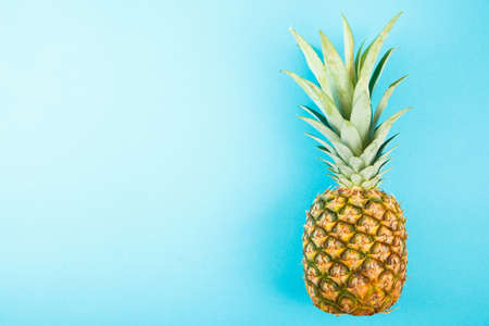 Fresh ripe pineapple on blue background. Food ingredientsの写真素材