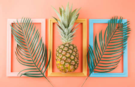 Summer background with pineapple. Food ingredients. Weekend conceptの写真素材