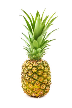 Ripe fresh pineapple isolated on white background. Tropic fruits. Food ingredientsの写真素材