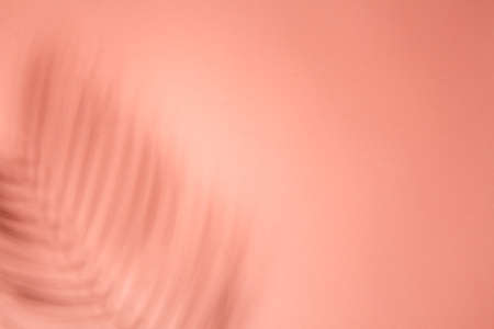 Color abstract background with shadow. Creative texture.の写真素材