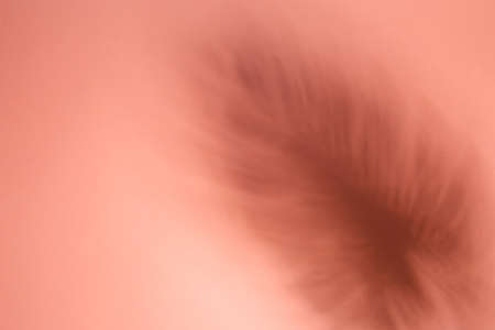 Color abstract background with shadow. Creative texture.の写真素材