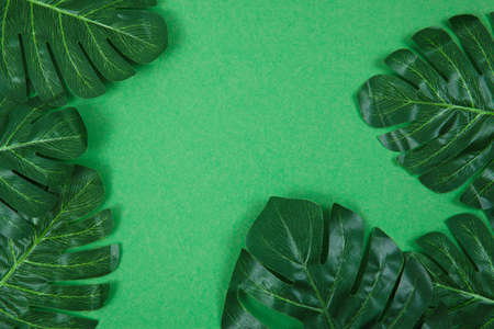 Green palm leaves on color background. Creative flat layの写真素材