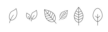 Leaf icon set on white background. Element for web designのイラスト素材
