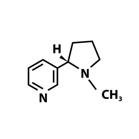 Nicotine chemical structure icon on white. Vectorのイラスト素材