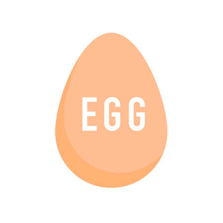 Egg on white background. Egg isolated