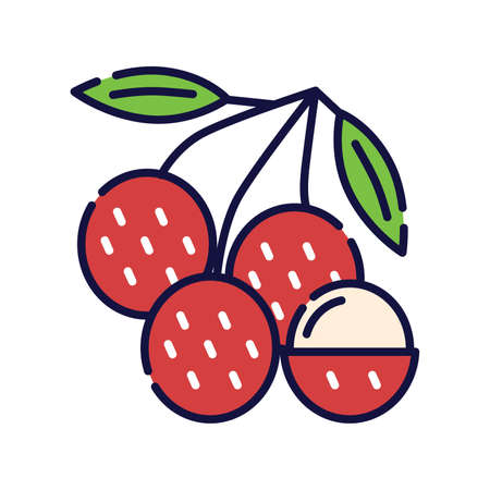 Lychee flat vector illustrationのイラスト素材