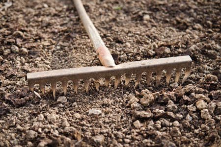 Old metal rake on ground in the garden close-up. Gardening tool. Selective focus.の写真素材