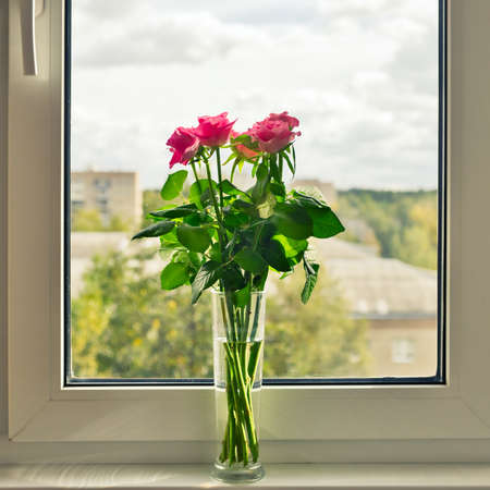 Bouquet of fresh pink roses in vase in front of the window. Interior flower decoration.の写真素材