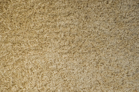 Texture of soft woolen carpet as background. Detailed abstract fabric texture. Close-up.の写真素材