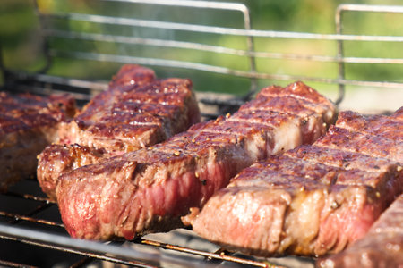 Closeup photo of grilled meat on a wire rack. Steaks barbecue on a brazier with natural smoke. Outdoor cooking.の写真素材