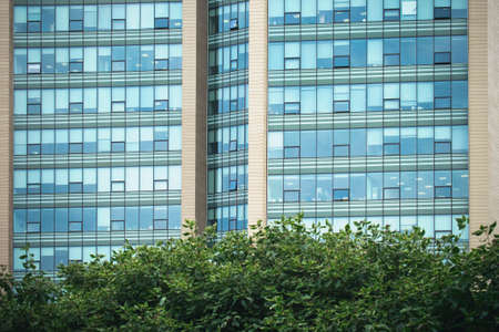 Modern office building with tree in city park - green nature conceptの写真素材