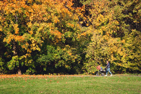 Moscow, Russia - 14 october 2020: Young mother walking in beautiful yellow autumn day at park with baby carriage. Spending time with infant and breathing fresh air. Enjoying stroll.のeditorial素材