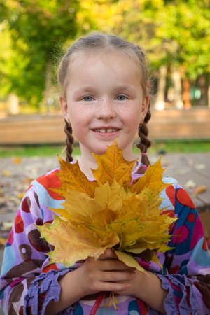 Portrait of pretty young girl stands in the autumn park and holds a bouquet of yellow maple leaves.の写真素材