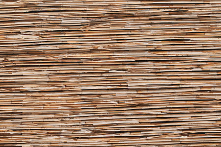 Handmade fence made of dried reeds as background.