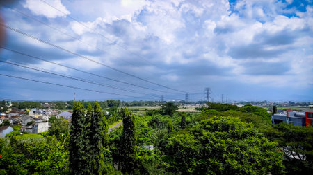 a power lines and trees with blue skyの写真素材