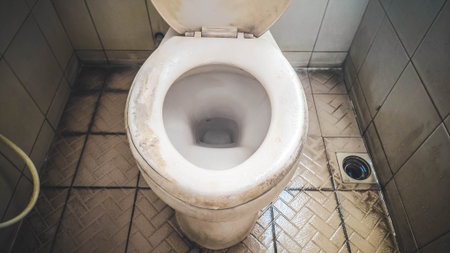 An open toilet with visible dirt, showcasing an unclean and neglected bathroom condition