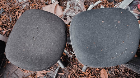Two grey, dusty office chair cushions rest on dry leaves and debris in an outdoor setting