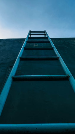 A tall blue ladder leans against an old wall under clear blue sky