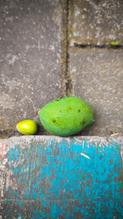 A close-up shot of a large green, unripe mango and a smaller yellow fruit resting on a textured,...