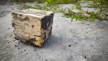 Small cuboid piece of weathered wood resting on rough grey concrete with visible dark marks and textureの写真素材