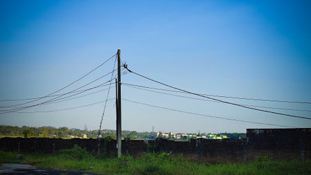 Simple utility pole with multiple overhead wires crossing above grass, brick walls, and distant buildings.の写真素材