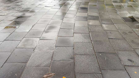 A wide shot of wet, grey square stone tiles on a walkway reflecting the overcast sky light.の写真素材