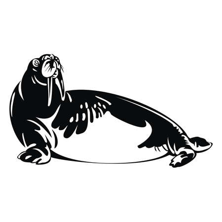 walrusのイラスト素材