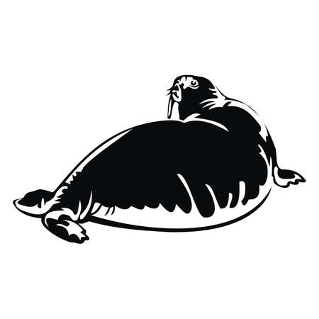 walrusのイラスト素材