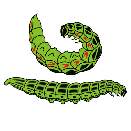 caterpillarのイラスト素材