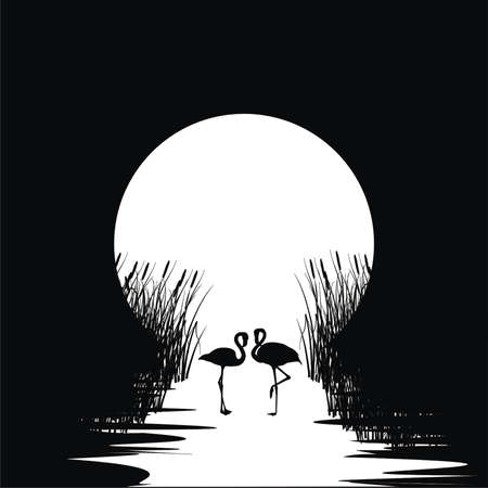 flamingos in the reedsのイラスト素材