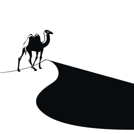 Camel in the desertのイラスト素材