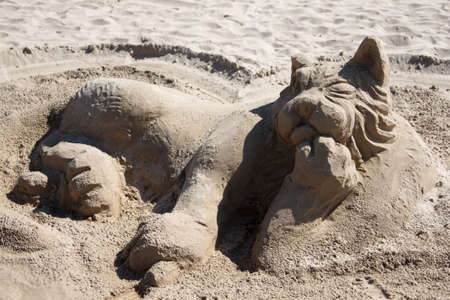 Lion lies at the sandの写真素材