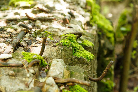 Ruins of power plant from World War IIの写真素材