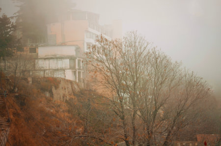 Foggy autumn morning in the city. Beautiful foggy landscape.の写真素材