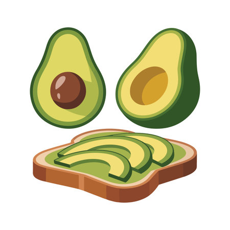Avocado halves with a slice of avocado on toast in a flat design illustrationのイラスト素材