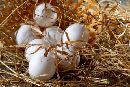 closeup on white eggs scattered from overturned basket on a straw