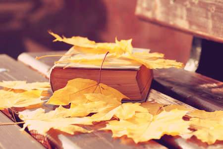 closed old book on a bench covered with fallen maple leaves under autumn sunlight, tonedの写真素材